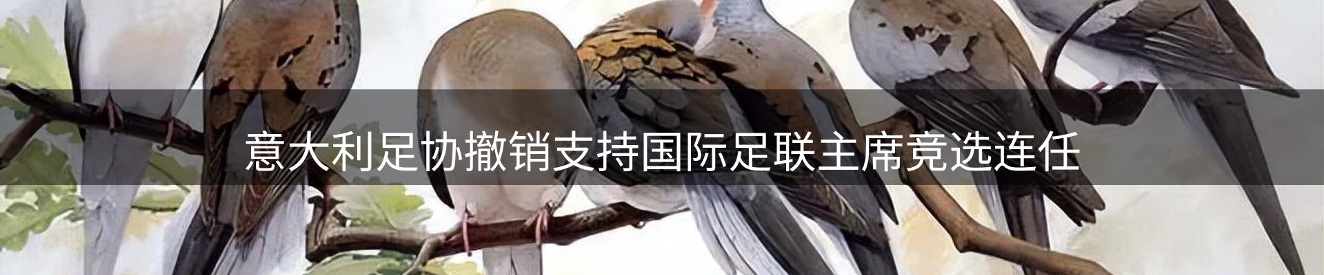行业资讯
